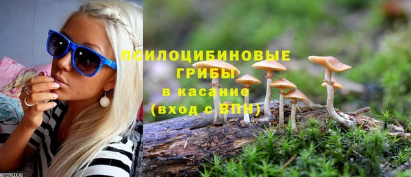 mdma Богородицк