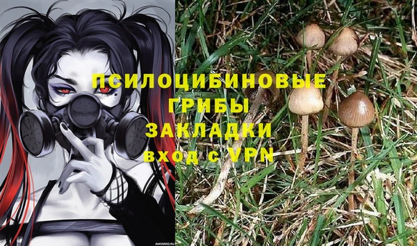 круглые Снежногорск