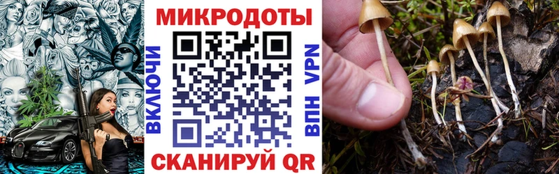 Галлюциногенные грибы мицелий  Кирс 